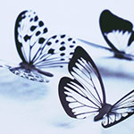 profile_photo
